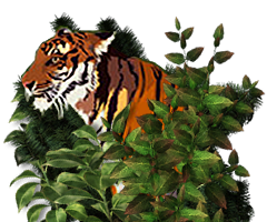 Play Jungle Game Online